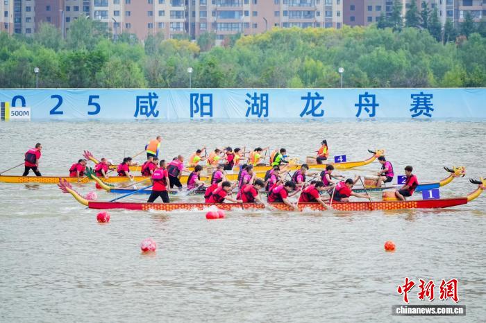 2025咸阳湖龙舟赛开赛 41支队伍竞逐水上盛宴